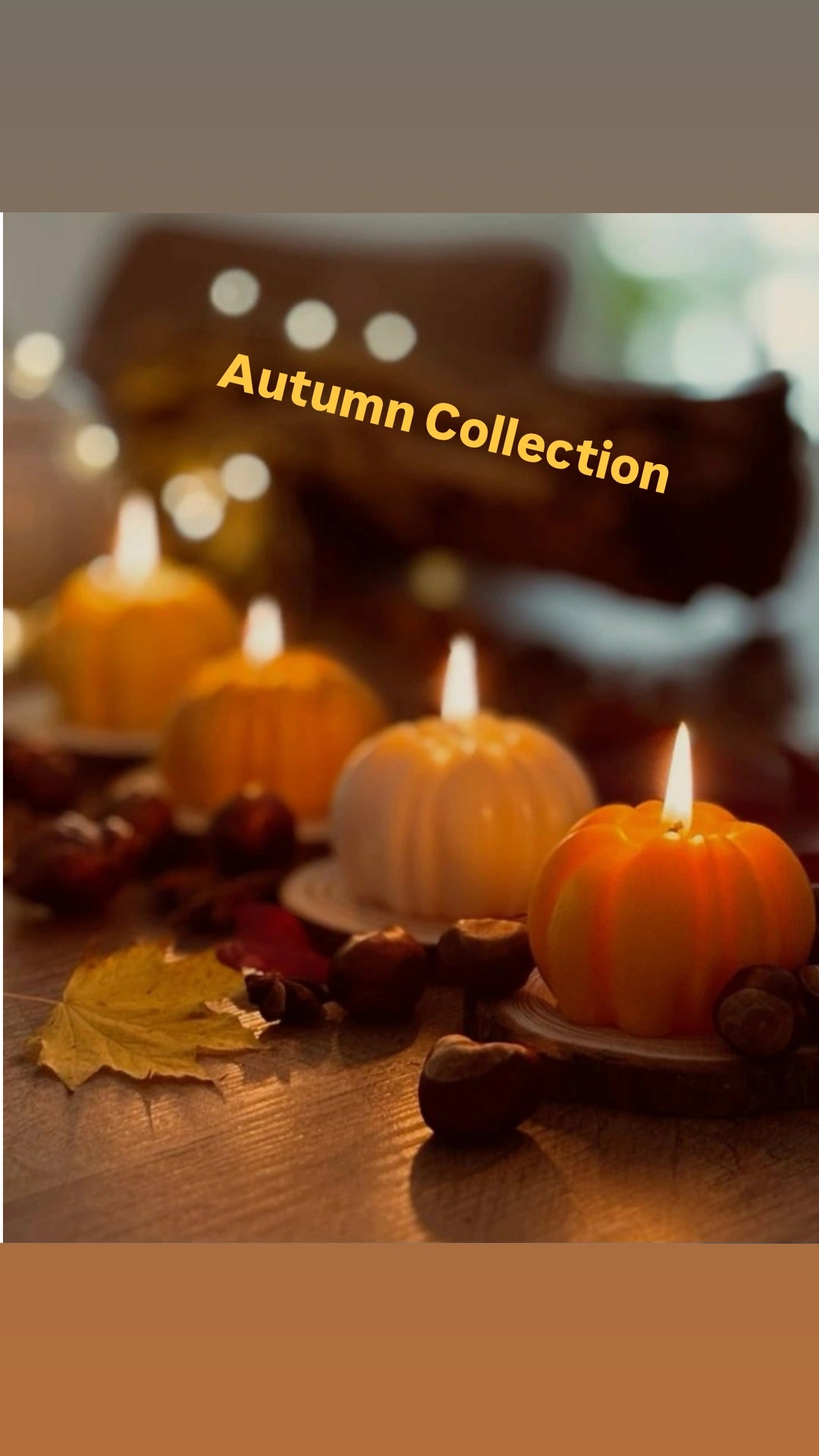 Winter Collection