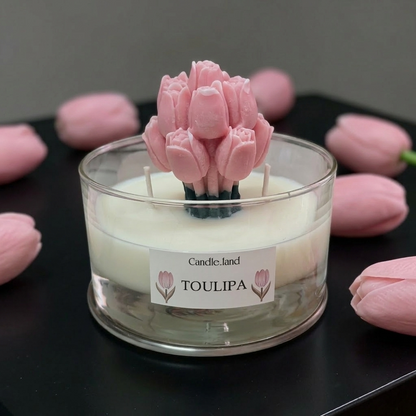 TOULIPA 🌷