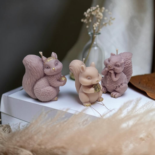 The Squirrel Family