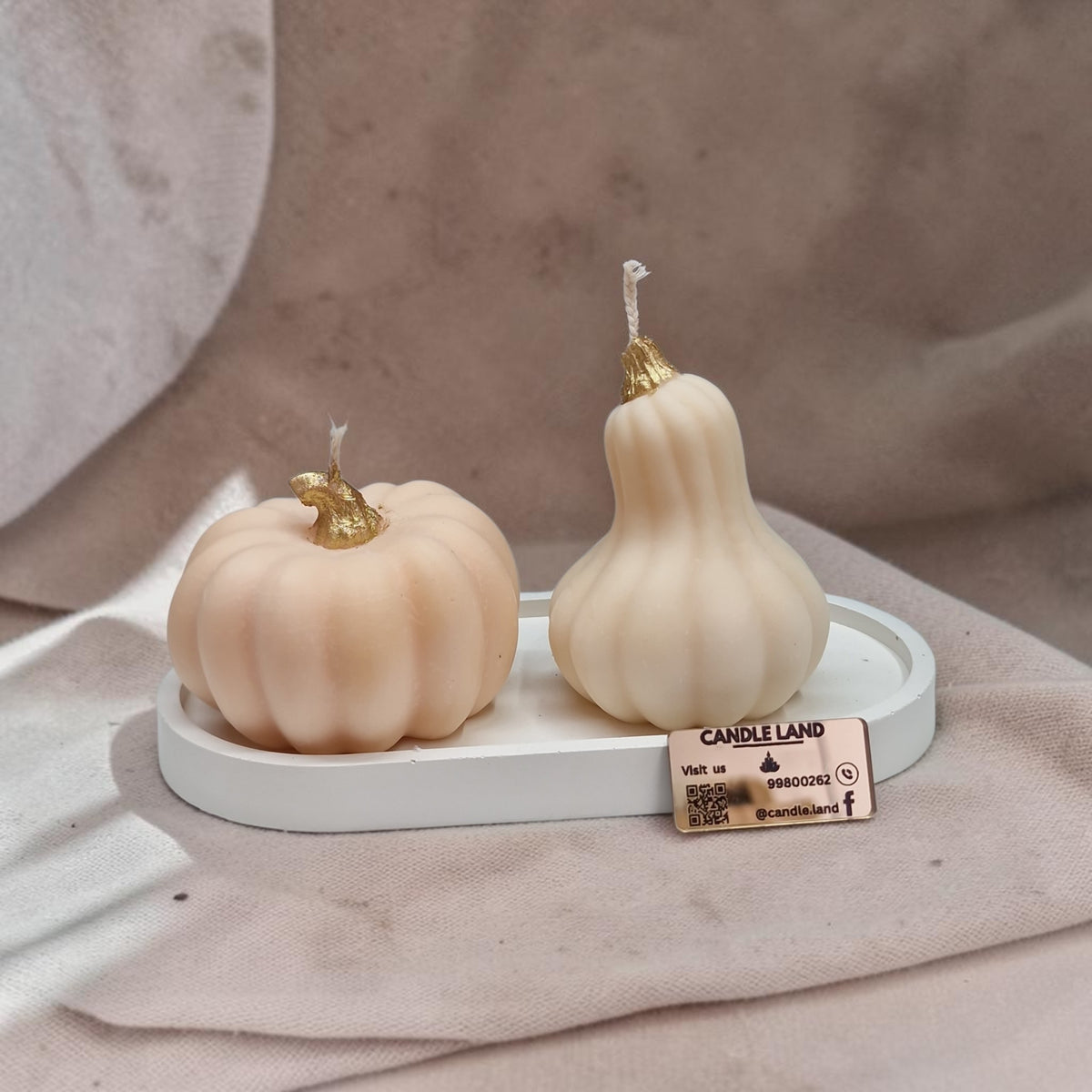 Pumpkin Tray Duo