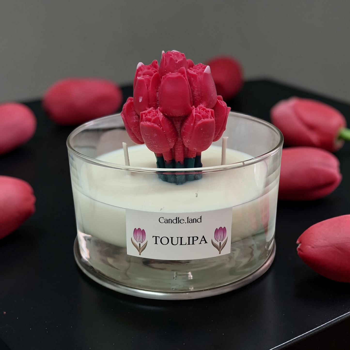 TOULIPA 🌷