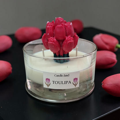 TOULIPA 🌷