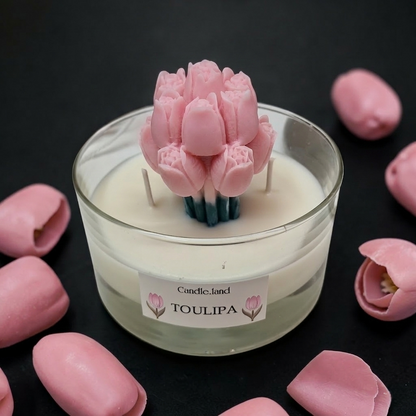 TOULIPA 🌷