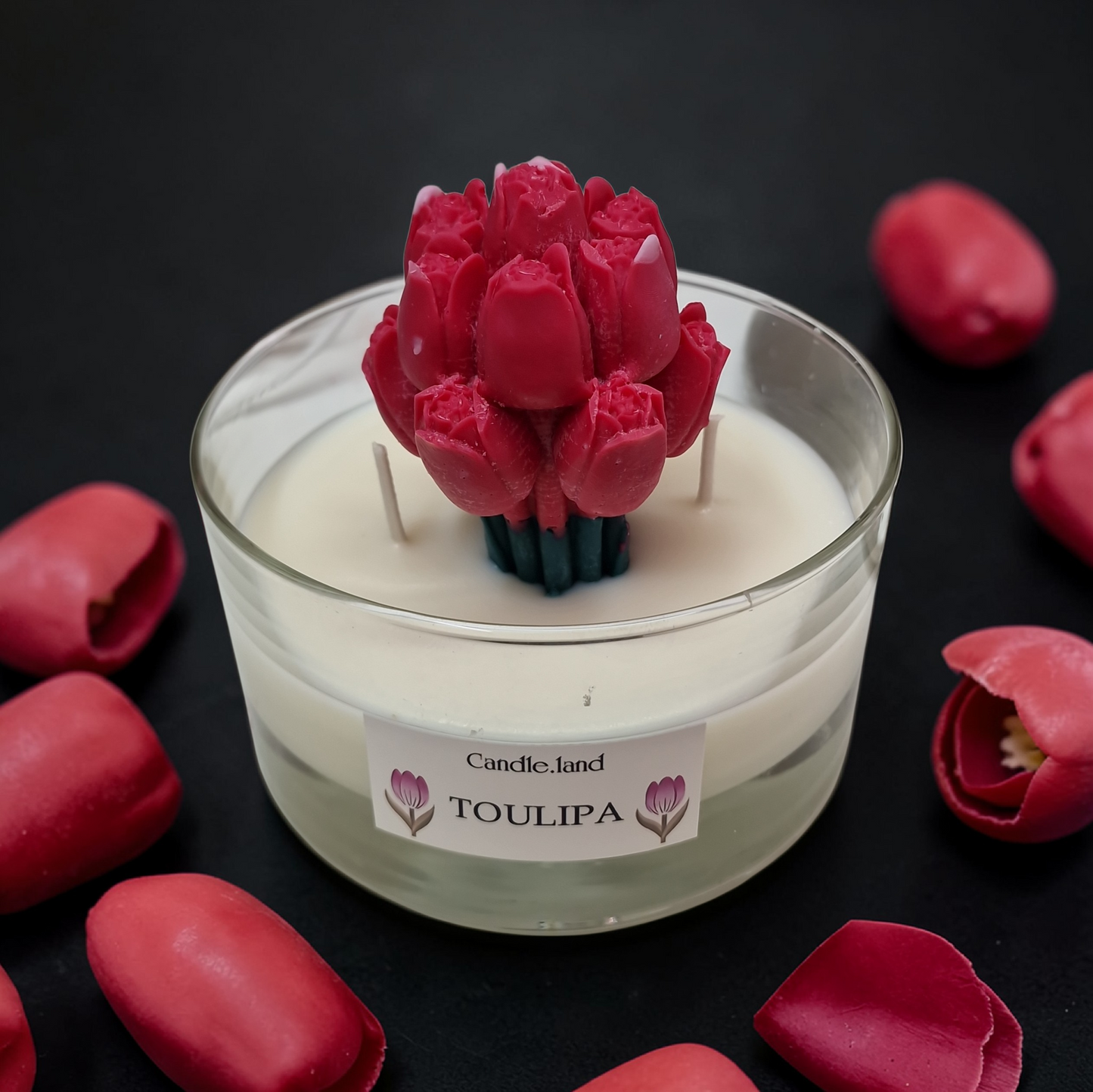 TOULIPA 🌷