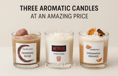 Fall Collection 2025