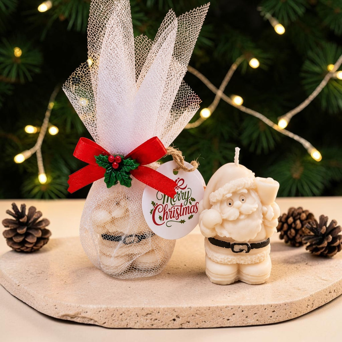 Mini Santa Claus 🎅