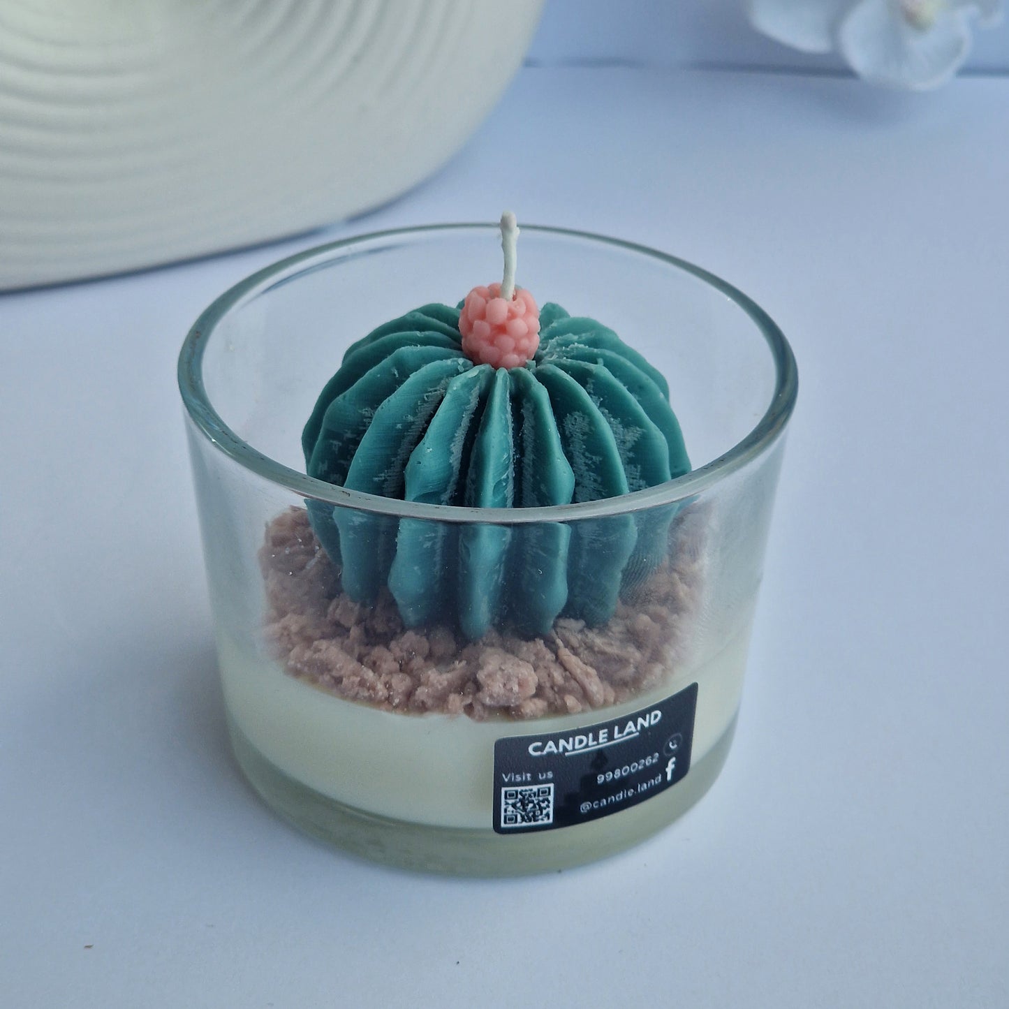 Candle Terrarium small 🌵